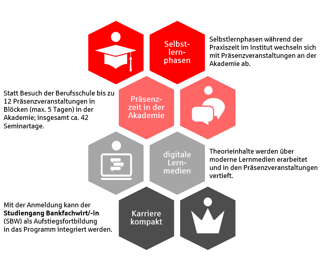 Aufbau_AusbildungPLUS.jpg